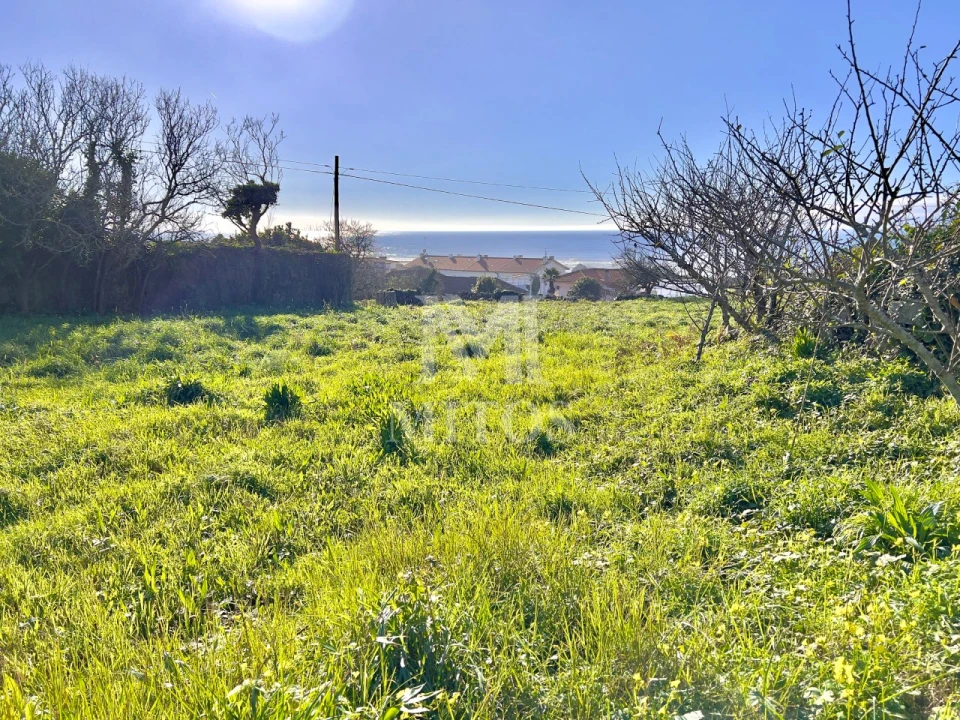 Terreno para Venda em Carreço Foto 3