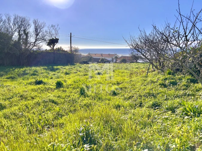 Terreno para Venda em Carreço Foto 3