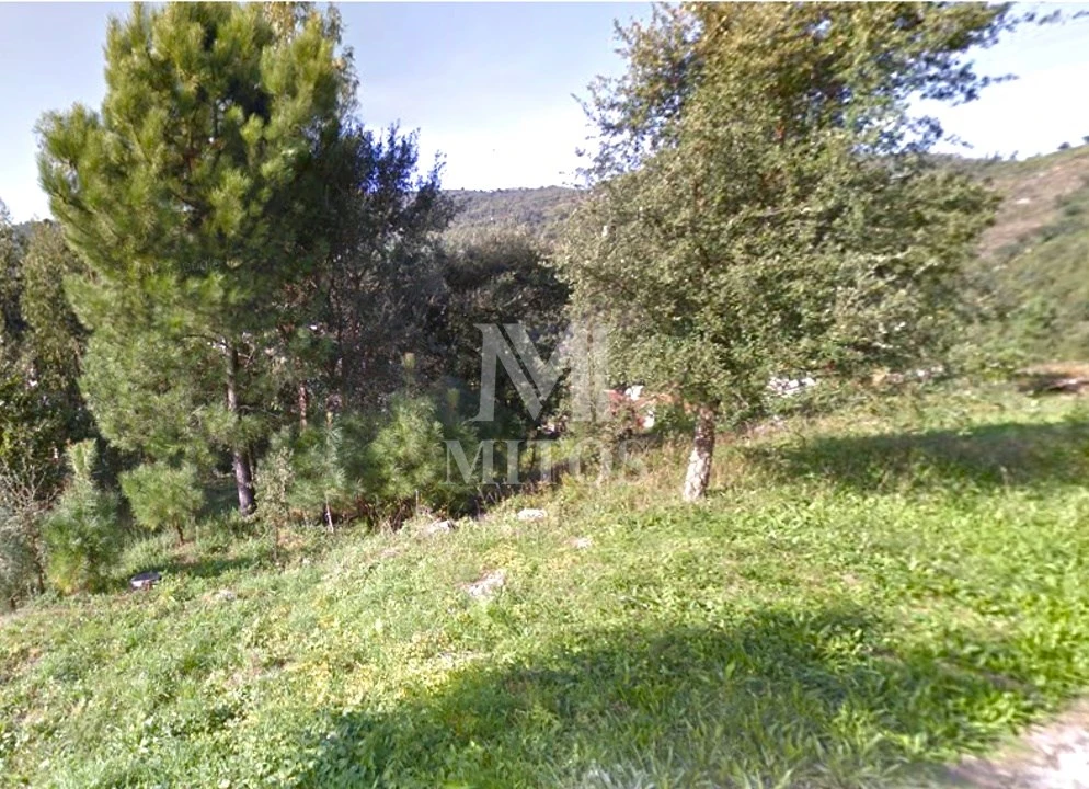 Terreno para Venda em Barroselas e Carvoeiro Foto 11