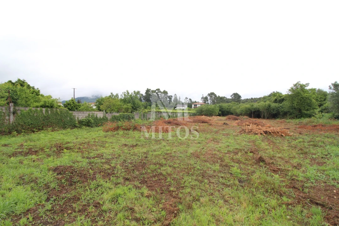 Terreno para Venda em Vila de Punhe Foto 4