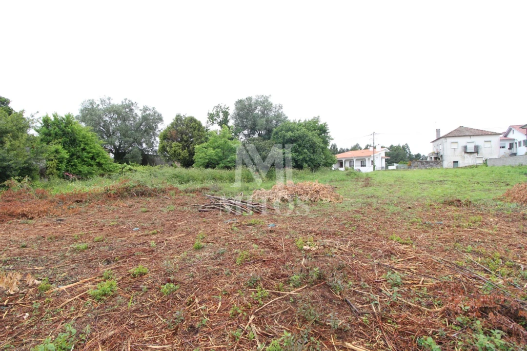 Terreno para Venda em Vila de Punhe Foto 1