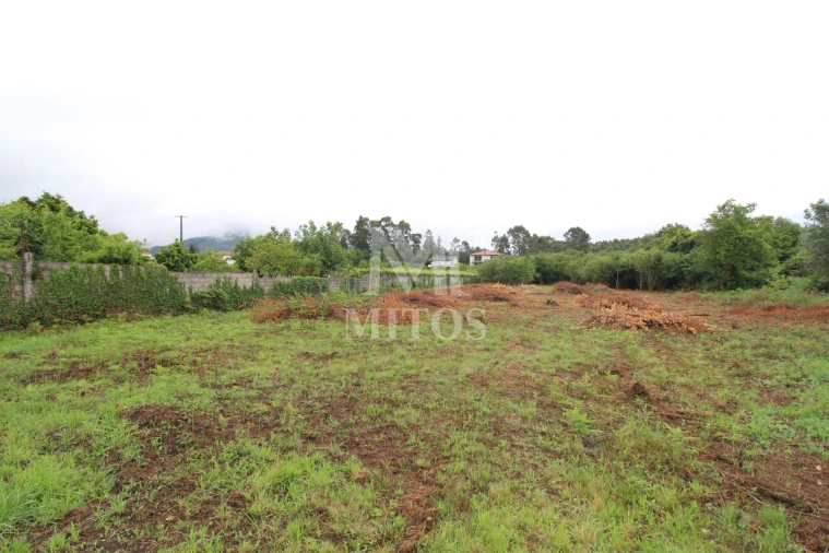 Terreno para Venda em Vila de Punhe Foto 4