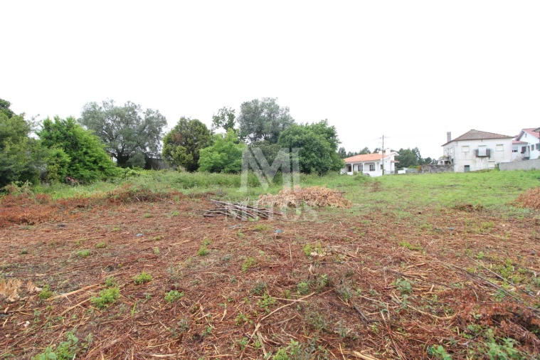 Terreno para Venda em Vila de Punhe Foto 1