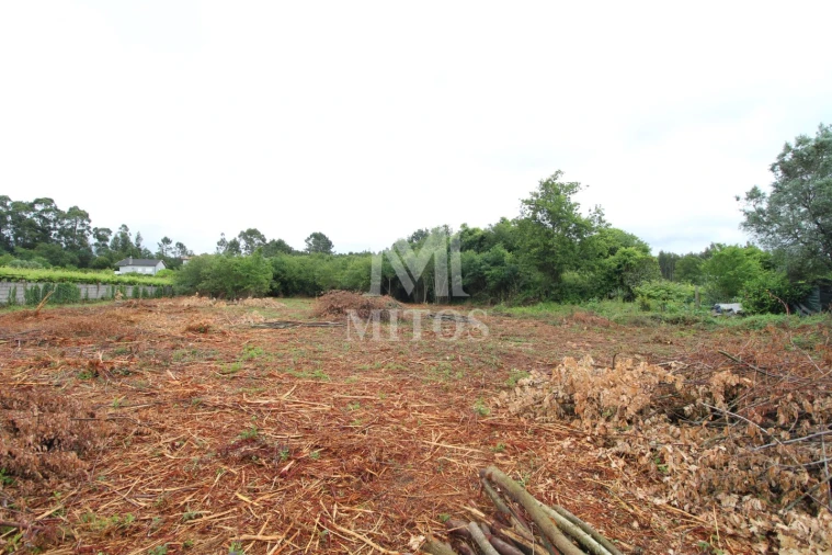 Terreno para Venda em Vila de Punhe Foto 2