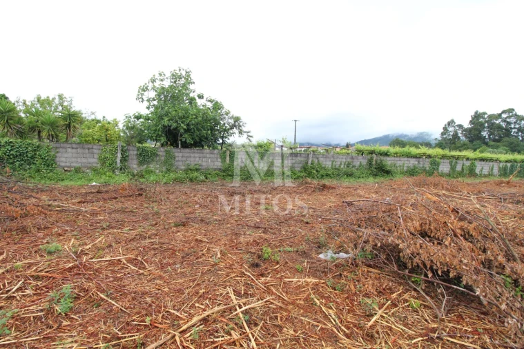 Terreno para Venda em Vila de Punhe Foto 5