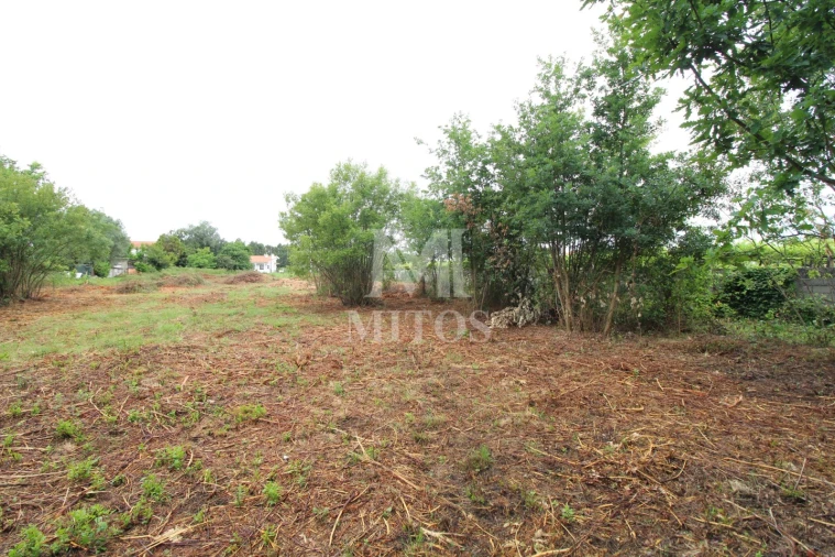 Terreno para Venda em Vila de Punhe Foto 3