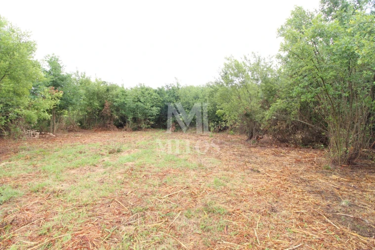 Terreno para Venda em Vila de Punhe Foto 6