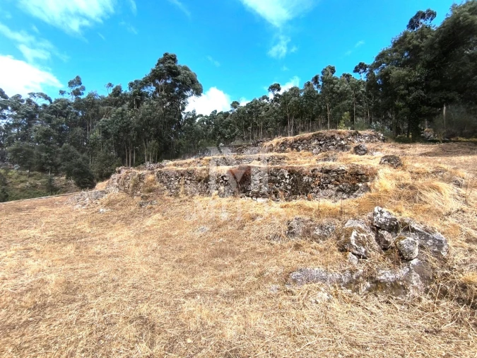 Terreno para Venda em Barroselas e Carvoeiro Foto 6