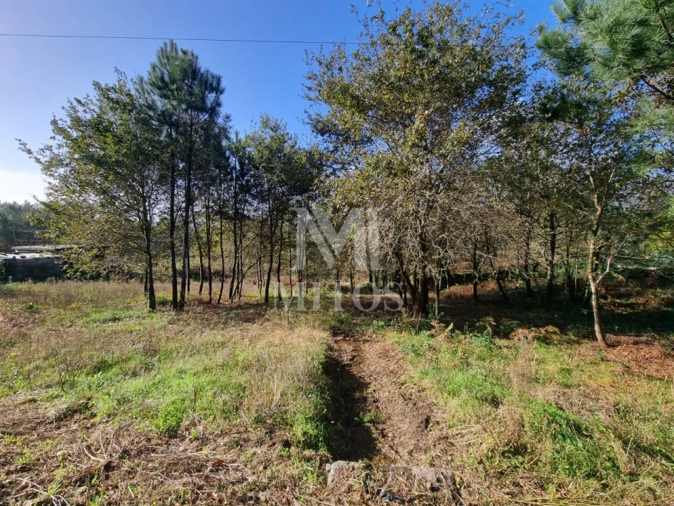 Terreno para Venda em Nogueira, Meixedo e Vilar de Murteda Foto 3