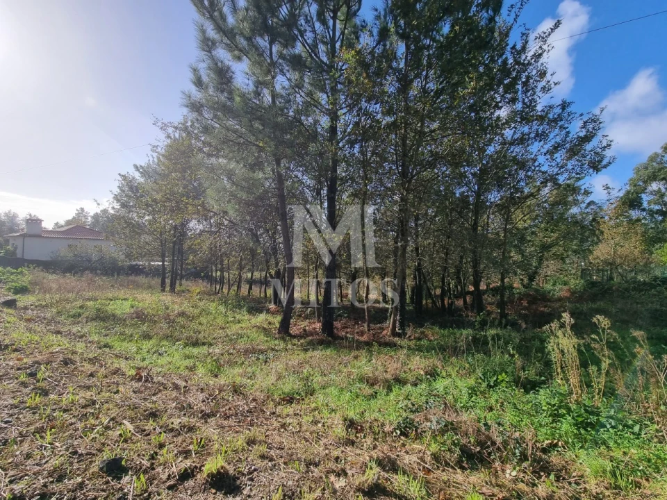 Terreno para Venda em Nogueira, Meixedo e Vilar de Murteda Foto 7