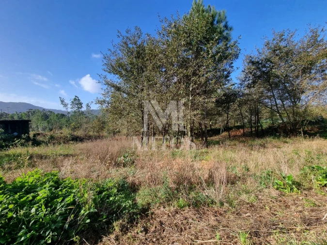 Terreno para Venda em Nogueira, Meixedo e Vilar de Murteda Foto 5