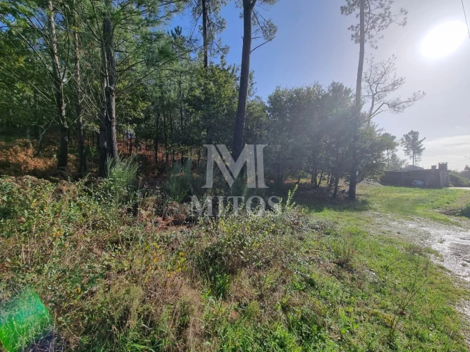 Terreno para Venda em Nogueira, Meixedo e Vilar de Murteda Foto 6