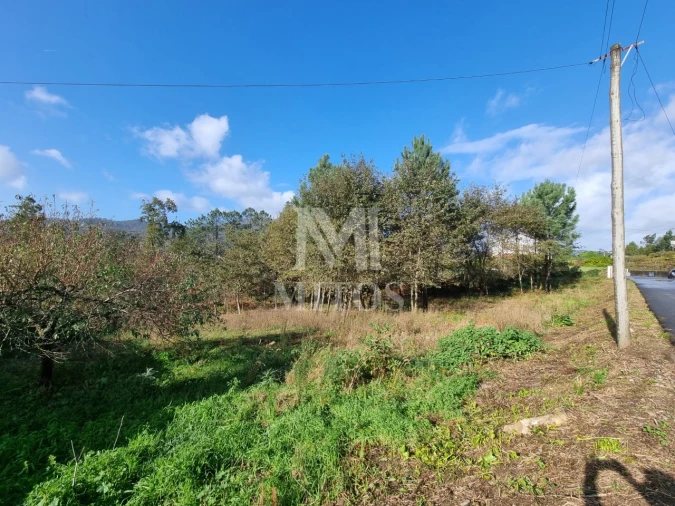 Terreno para Venda em Nogueira, Meixedo e Vilar de Murteda Foto 8