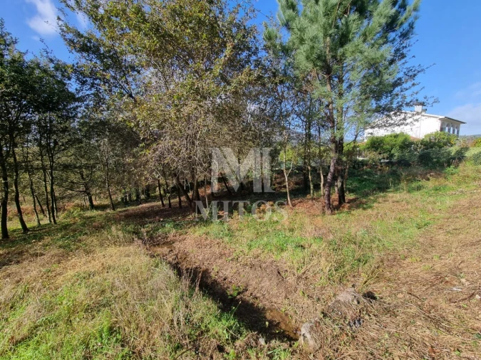 Terreno para Venda em Nogueira, Meixedo e Vilar de Murteda Foto 9