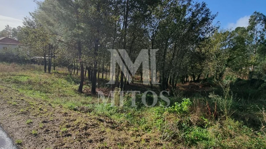 Terreno para Venda em Nogueira, Meixedo e Vilar de Murteda