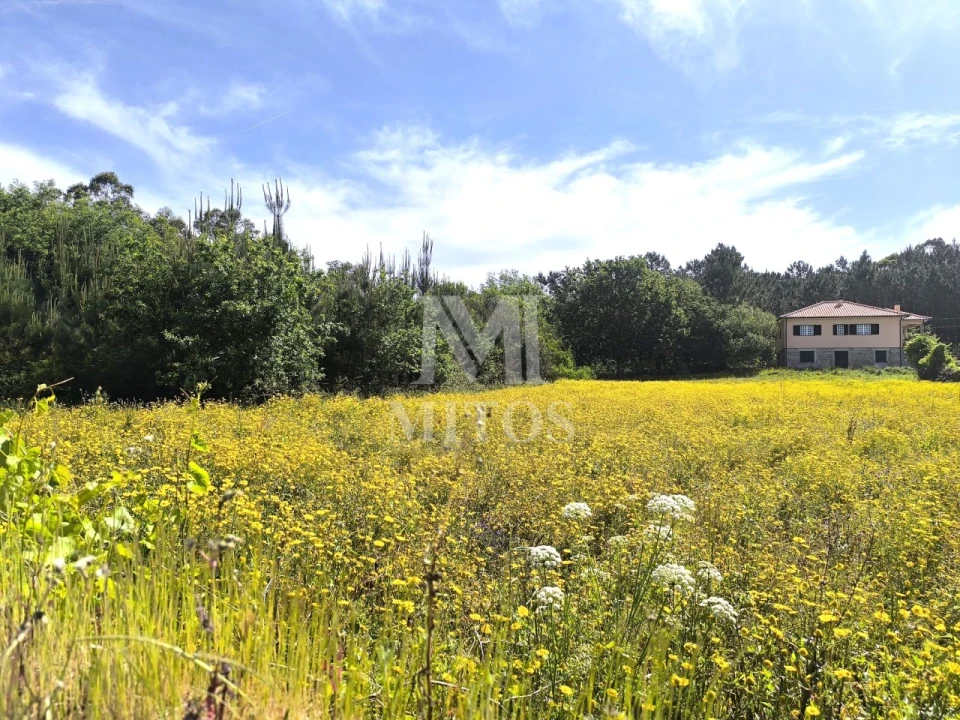 Terreno para Venda em Mazarefes e Vila Fria Foto 2