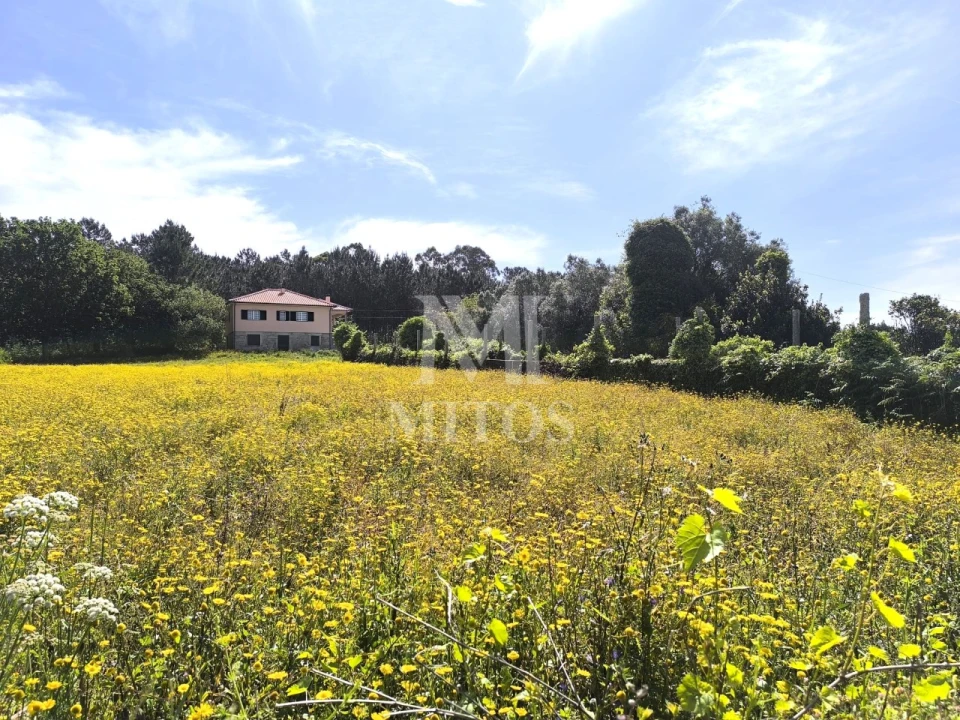 Terreno para Venda em Mazarefes e Vila Fria Foto 6