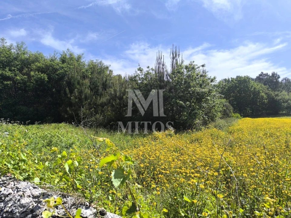 Terreno para Venda em Mazarefes e Vila Fria Foto 7