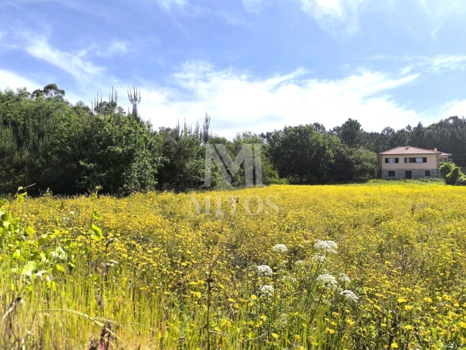 Terreno para Venda em Mazarefes e Vila Fria Foto 2