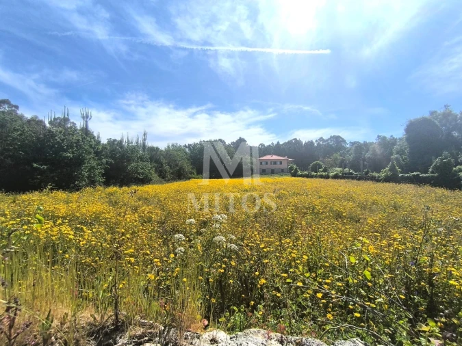 Terreno para Venda em Mazarefes e Vila Fria Foto 1