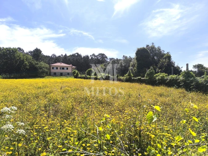 Terreno para Venda em Mazarefes e Vila Fria Foto 6