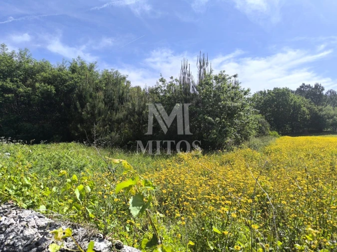 Terreno para Venda em Mazarefes e Vila Fria Foto 7