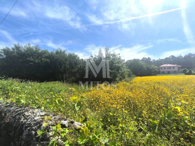 Terreno para Venda em Mazarefes e Vila Fria Foto 3