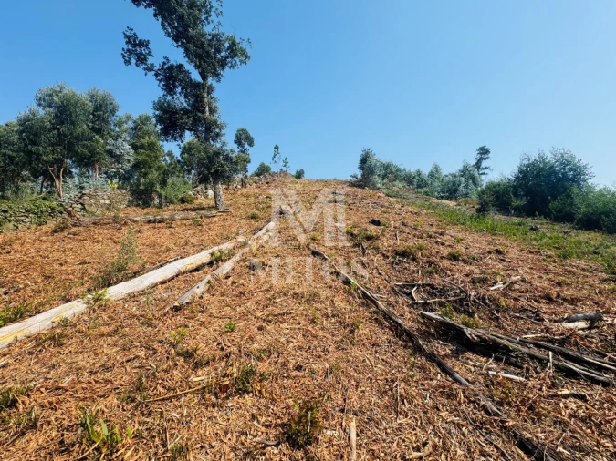 Terreno para Venda em Santa Maria Maior e Monserrate e Meadela Foto 4