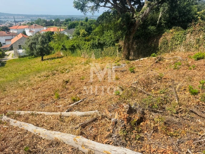 Terreno para Venda em Santa Maria Maior e Monserrate e Meadela Foto 6