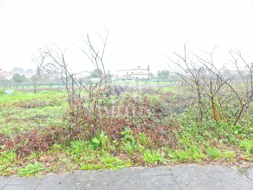 Terreno para Venda em Campos e Vila Meã Foto 1