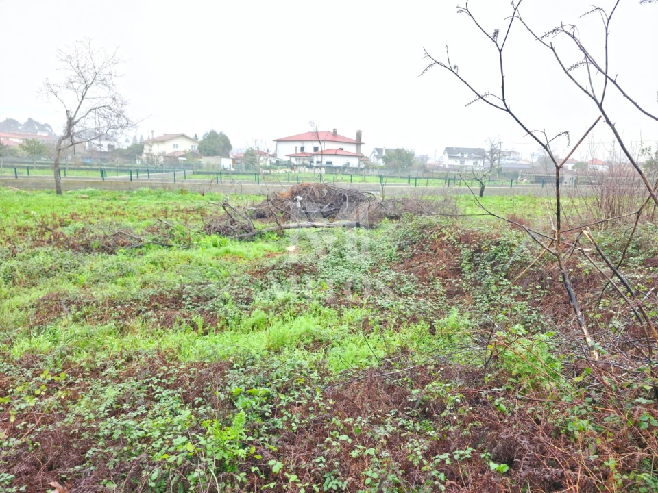 Terreno para Venda em Campos e Vila Meã Foto 4
