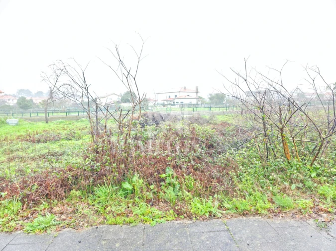 Terreno para Venda em Campos e Vila Meã Foto 1