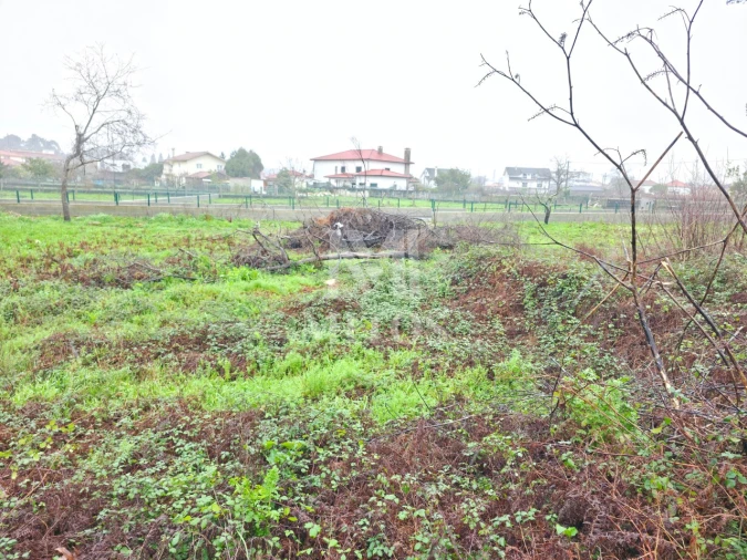 Terreno para Venda em Campos e Vila Meã Foto 4