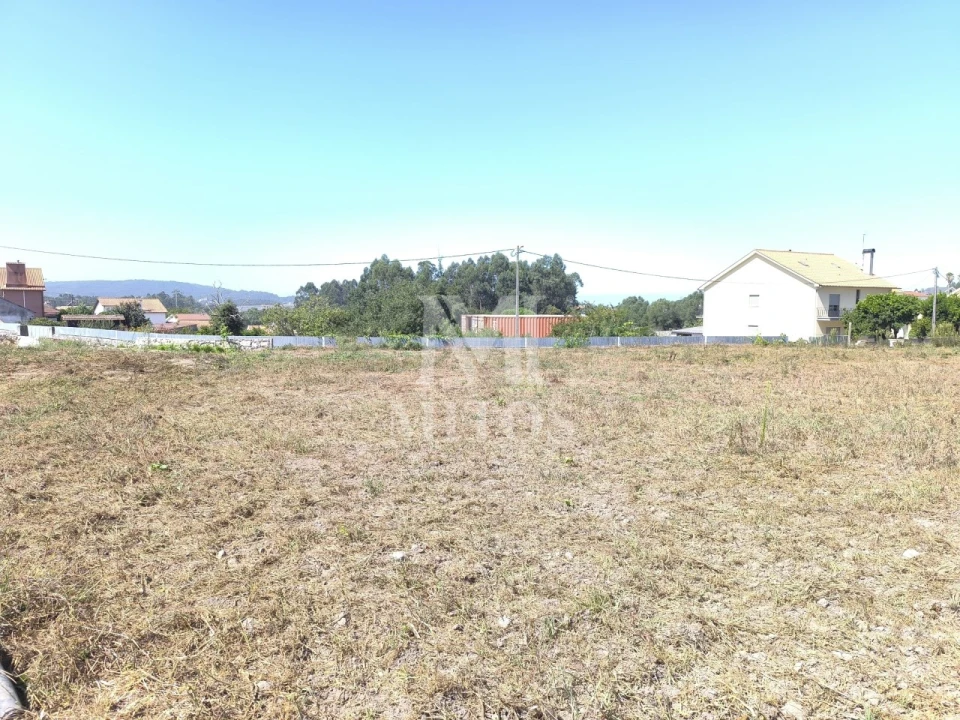 Terreno para Venda em Alvarães Foto 1