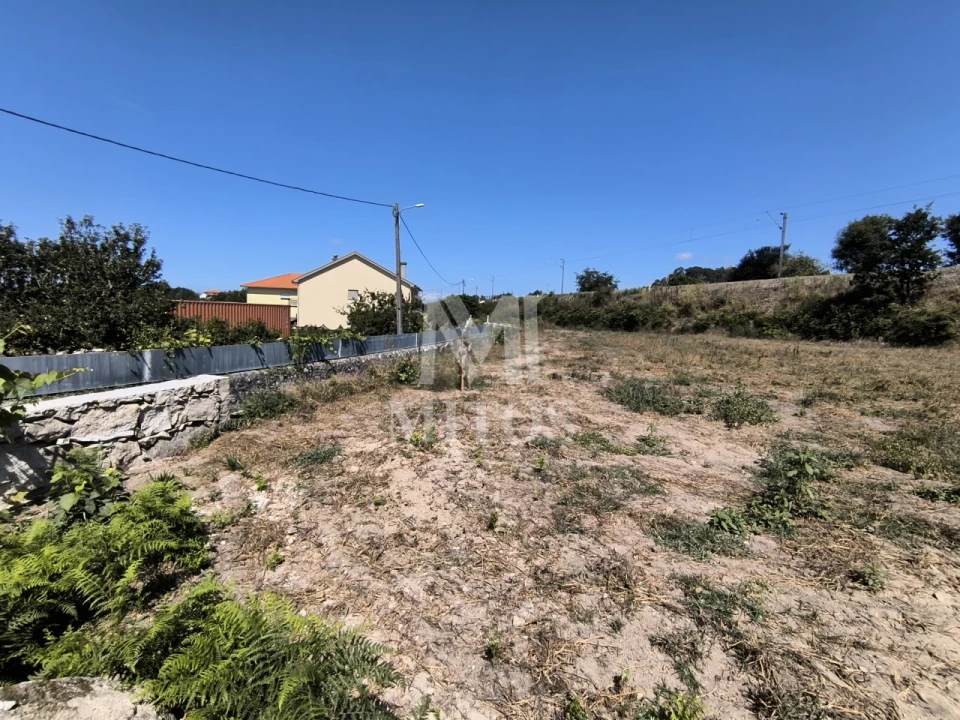 Terreno para Venda em Alvarães Foto 3