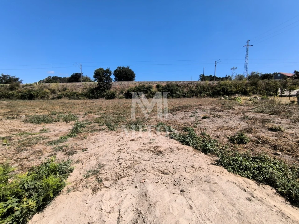 Terreno para Venda em Alvarães Foto 4