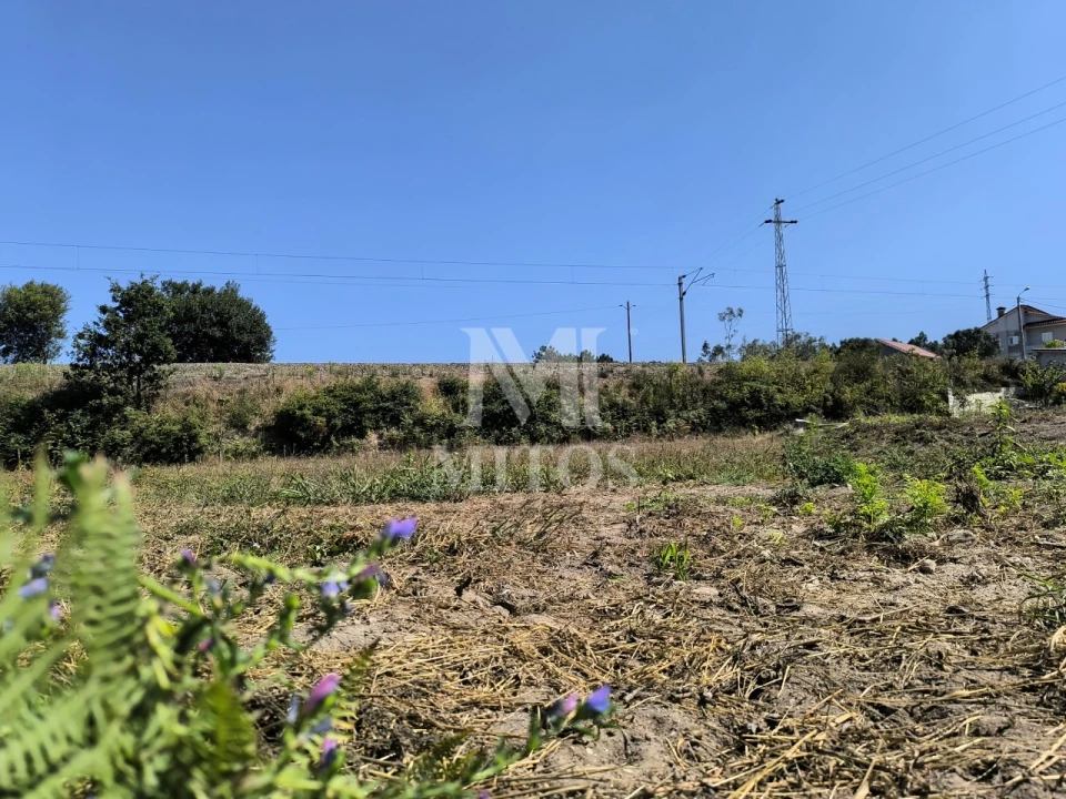 Terreno para Venda em Alvarães Foto 5