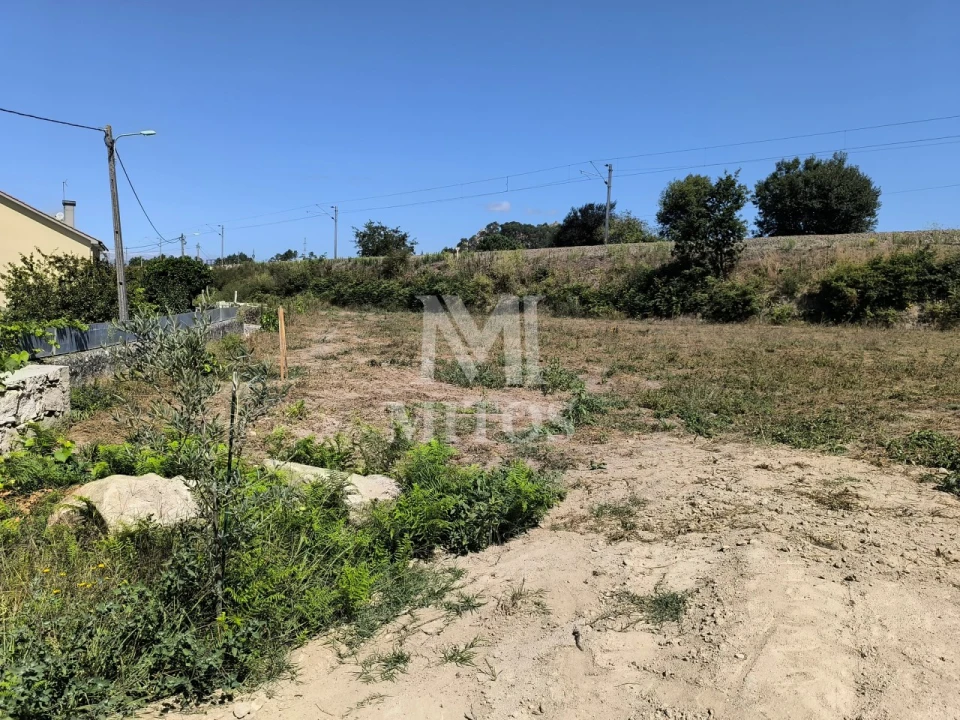 Terreno para Venda em Alvarães Foto 6