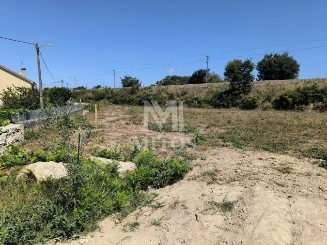 Terreno para Venda em Alvarães Foto 6