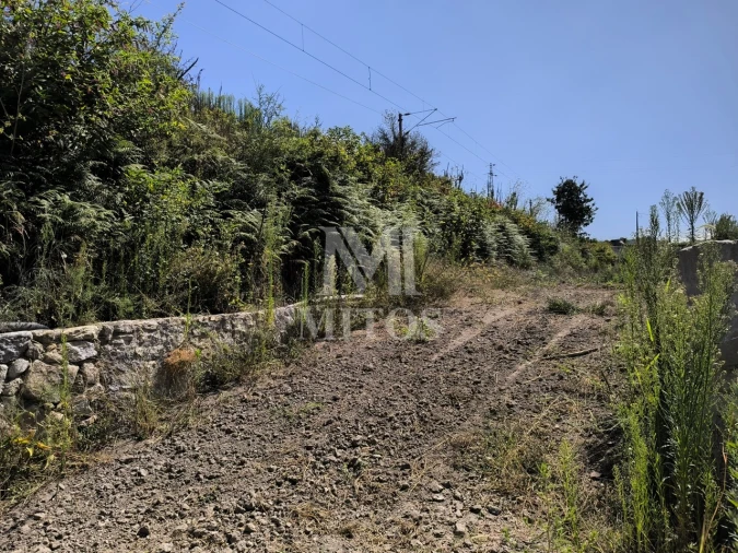 Terreno para Venda em Alvarães Foto 7
