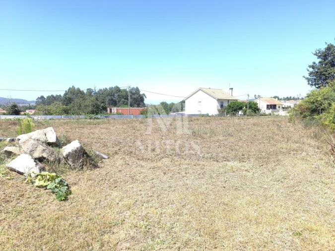 Terreno para Venda em Alvarães Foto 8
