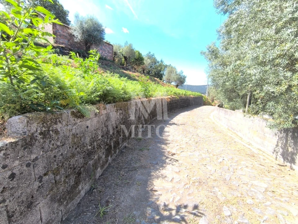 Terreno para Venda em Subportela, Deocriste e Portela Susã Foto 2