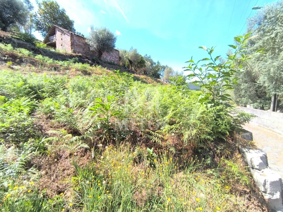 Terreno para Venda em Subportela, Deocriste e Portela Susã Foto 3