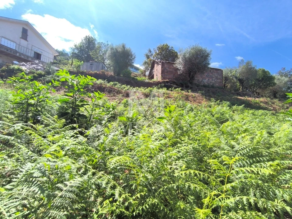 Terreno para Venda em Subportela, Deocriste e Portela Susã Foto 4