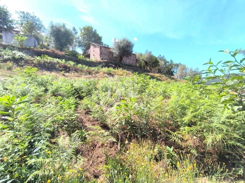 Terreno para Venda em Subportela, Deocriste e Portela Susã Foto 5