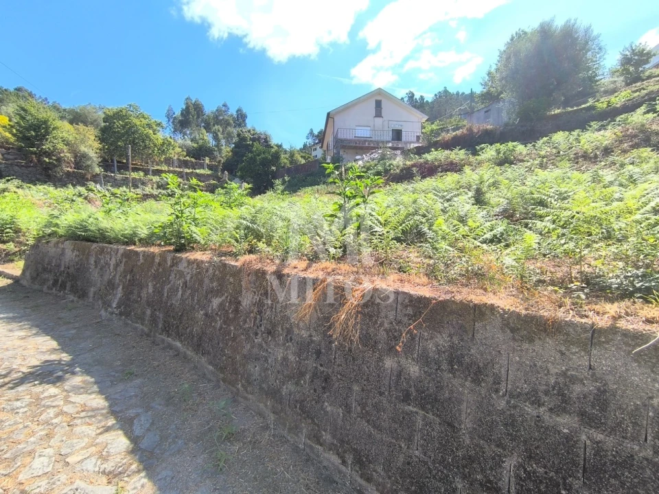 Terreno para Venda em Subportela, Deocriste e Portela Susã Foto 9