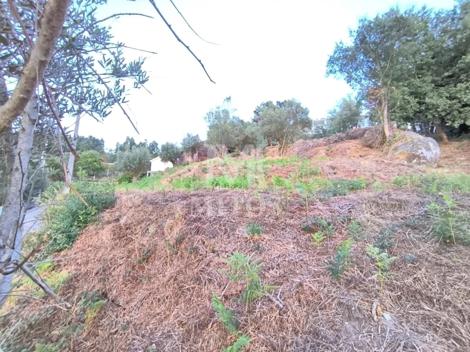 Terreno para Venda em Subportela, Deocriste e Portela Susã Foto 8