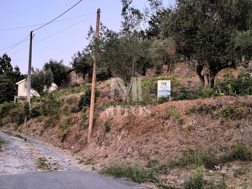 Terreno para Venda em Subportela, Deocriste e Portela Susã Foto 11