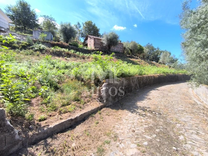 Terreno para Venda em Subportela, Deocriste e Portela Susã Foto 1