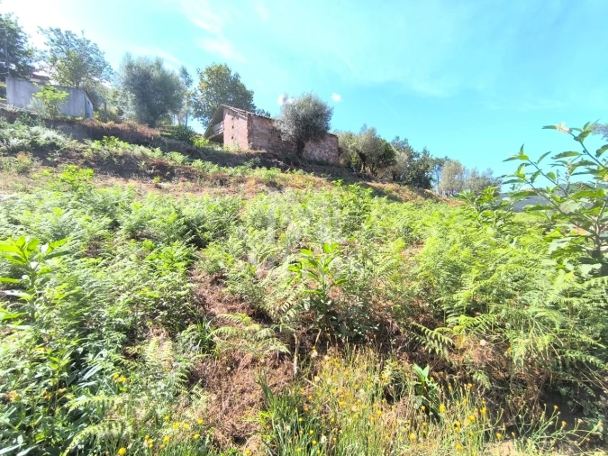 Terreno para Venda em Subportela, Deocriste e Portela Susã Foto 5